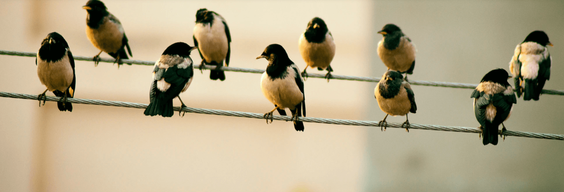 A New Contactless Normal for Hoteliers