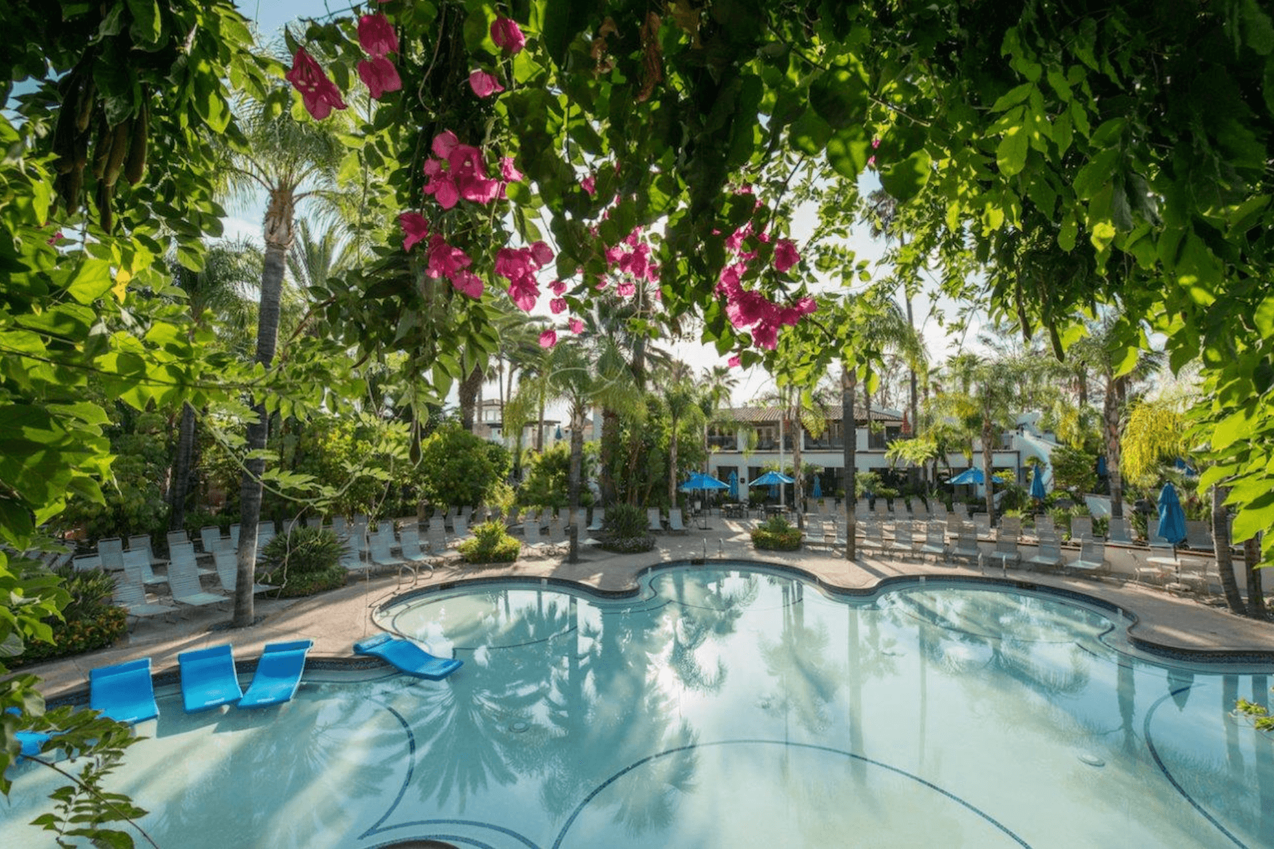 Akia Helps Run Safe and Contactless Operations